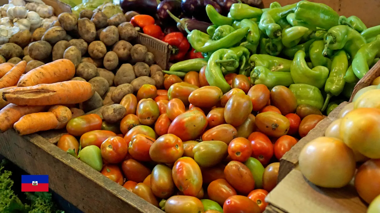 Évaluation de la souveraineté alimentaire à Massabielle : résultats d'une enquête de terrain